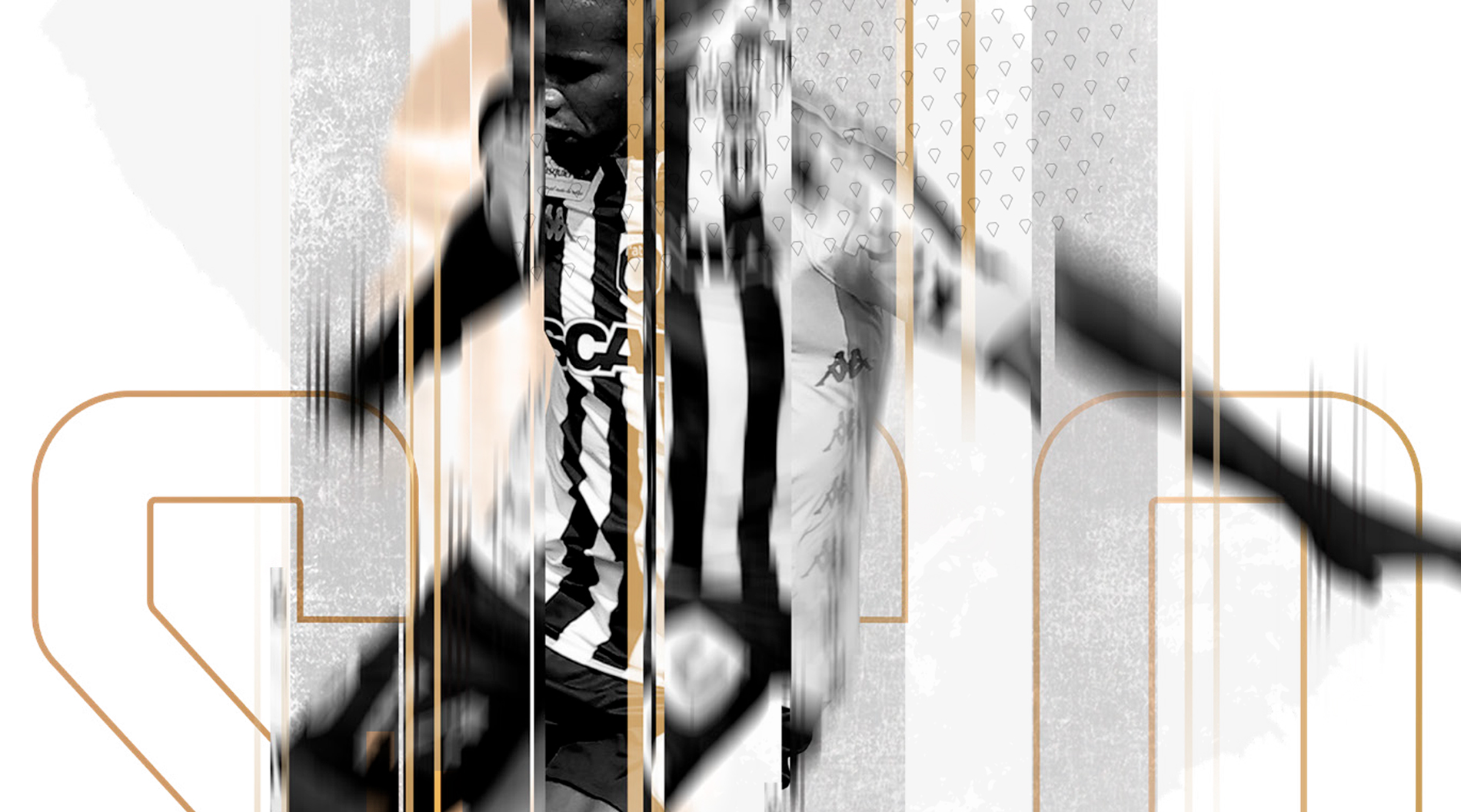 Charte graphique Angers SCO